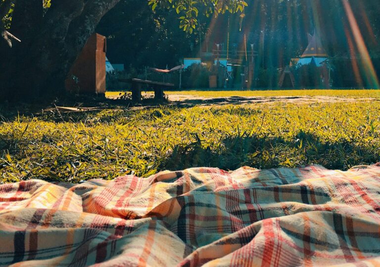 Hygge Picknick am Wald