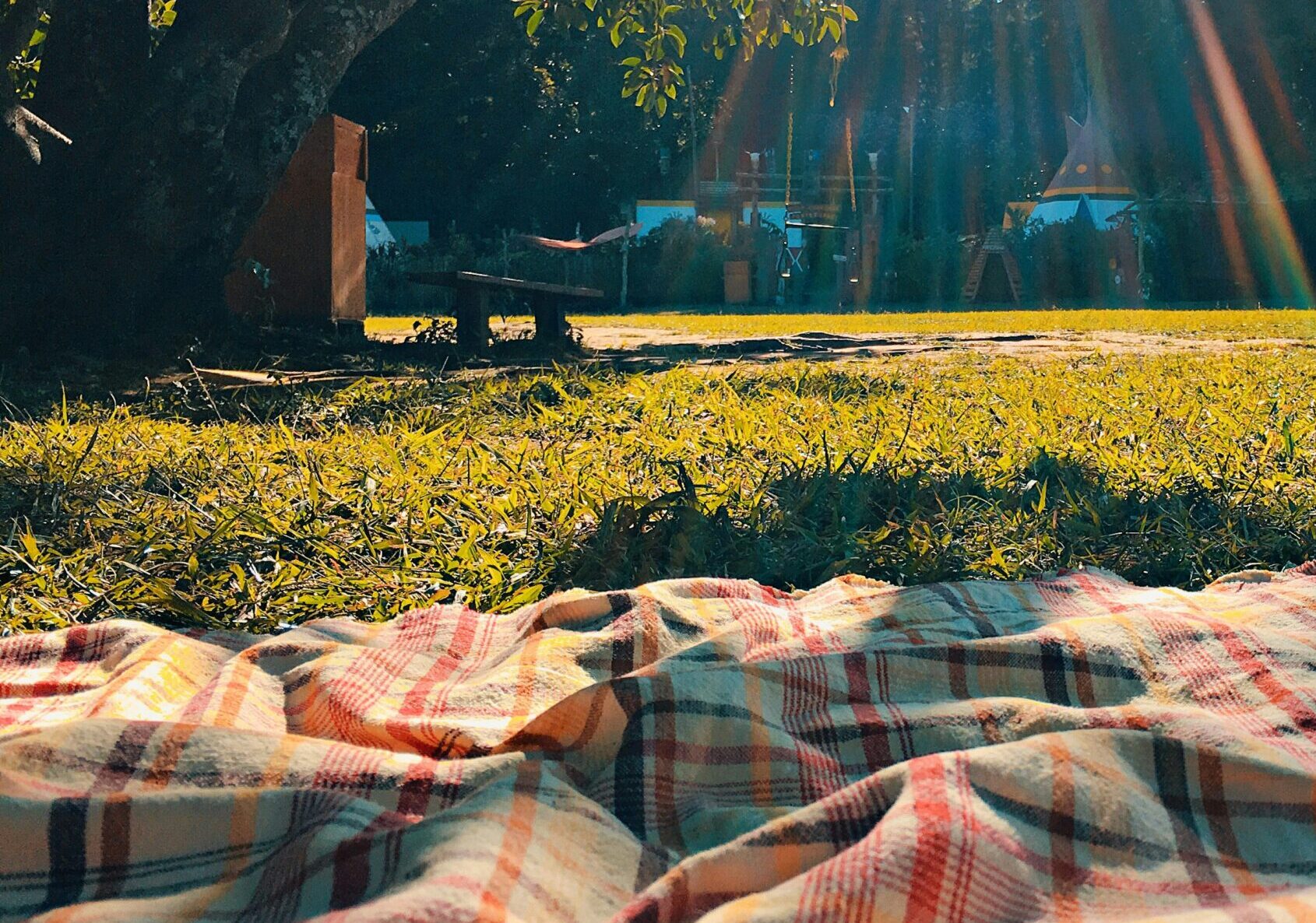 Hygge Picknick am Wald