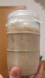 Sauerteig Starter